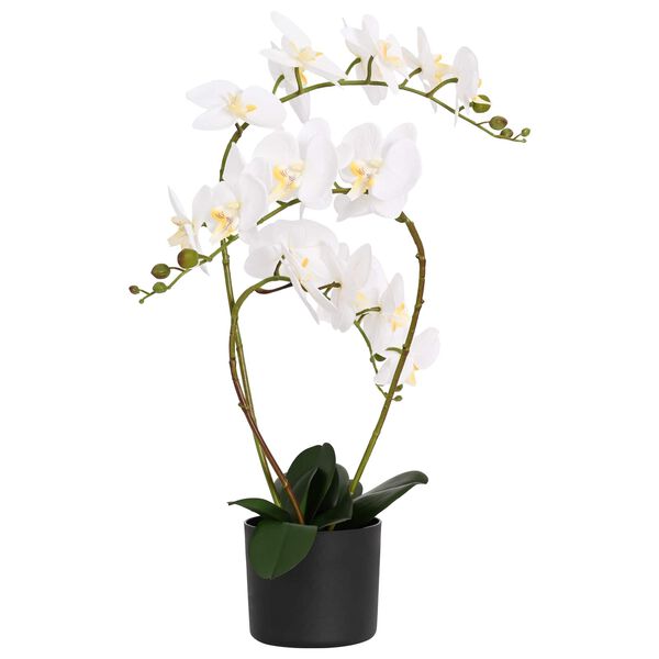 Showing Product Image 1 of 4
