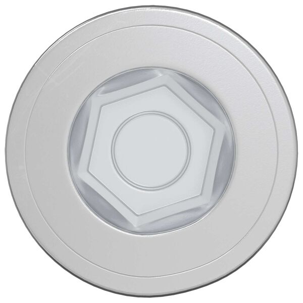 vidaXL Stiprinājumu skrūves 2 pcs Sudraba &Oslash;7 x 58 mm Metāls