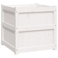 vidaXL dārza puķu kaste, balta, 60x60x60 cm, priedes masīvkoks