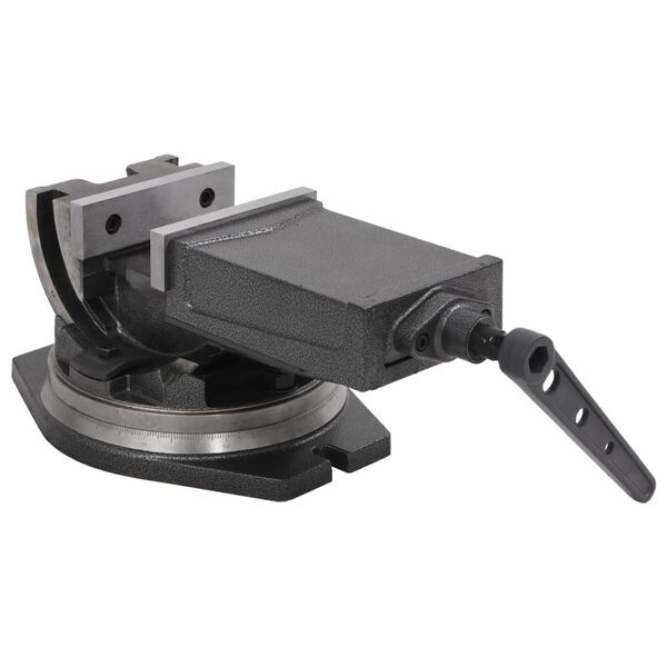 vidaXL skrūvspīles, 2 asis, noliecamas, 160 mm