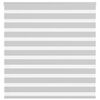 vidaXL žalūzijas zebra 150x150 cm auduma platums 145,9 cm poliesters