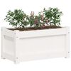 vidaXL dārza puķu kastes, 2 gab., balta, priedes masīvkoks