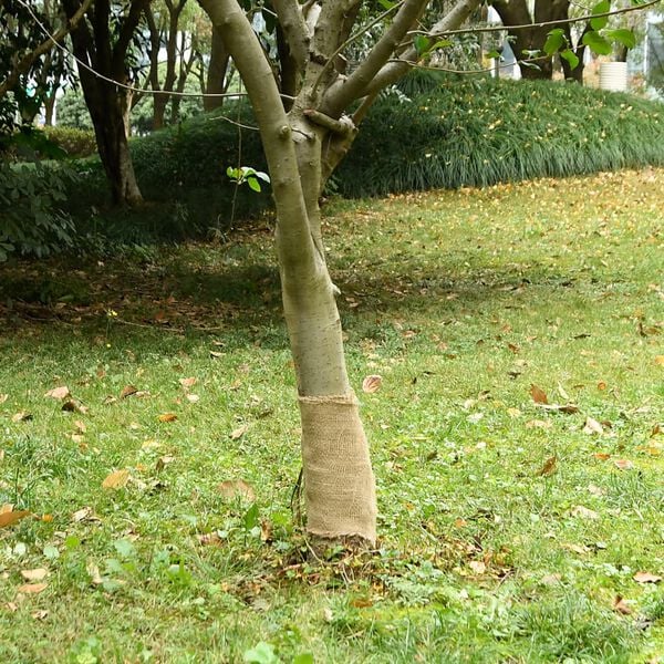 Showing Product Image 2 of 7