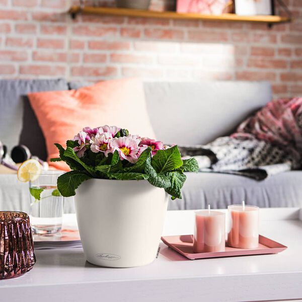 LECHUZA puķu kaste CLASSICO Color 21 ALL-IN-ONE, balta