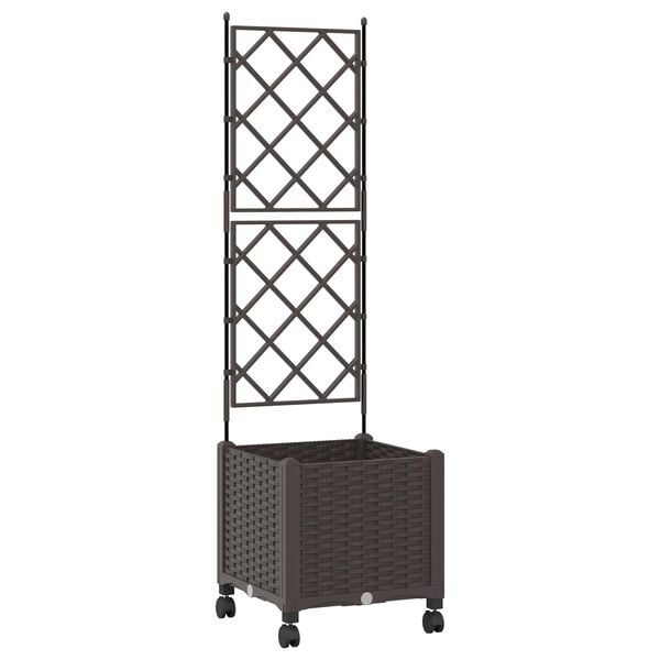Showing Product Image 1 of 7