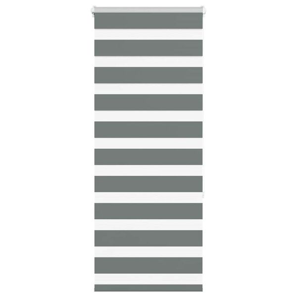 vidaXL žalūzijas zebra 65x150 cm auduma platums 60,9 cm poliesters