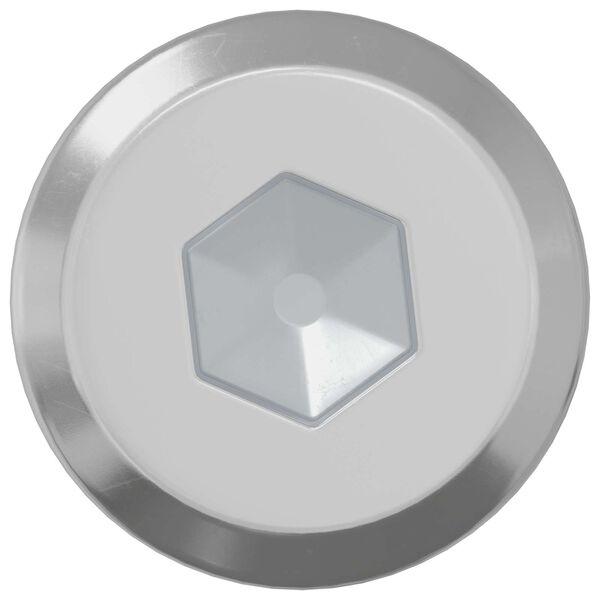 vidaXL Slēdzene skrūve Vienkrāsains 2 pcs Sudraba M6 x 30 mm Tērauds