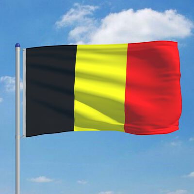 vidaXL Beļģijas karogs un karoga masts, alumīnijs, 6 m