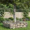 vidaXL Gabions pacelta gulta Sudraba 80 x 80 x 20 cm Cinkots tērauds