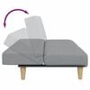 vidaXL 2-vietīga dīvāngulta ar kāju balstu, gai&scaron;i pelēks audums