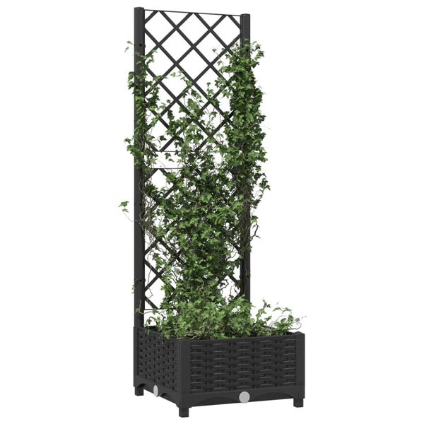 Showing Product Image 3 of 8