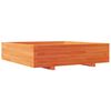 vidaXL dārza puķu kaste vaska brūnas 100x100x26,5 cm priedes masīvkoks