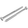 vidaXL Mēbeļu skrūves 2 pcs Sudraba M6 x 100 mm Tērauds