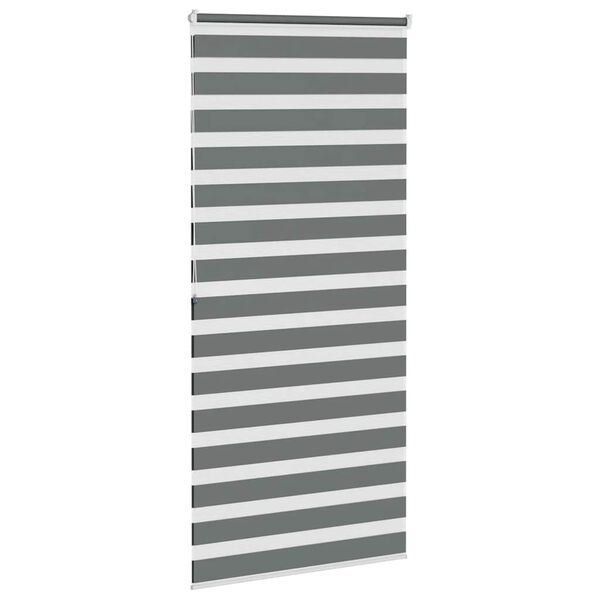 vidaXL žalūzijas zebra 105x200 cm auduma platums 100,9 cm poliesters
