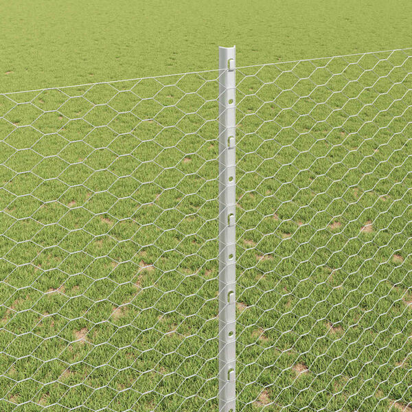 vidaXL Žogs ar stabu Sudraba 1,6 x 10 m Tērauds