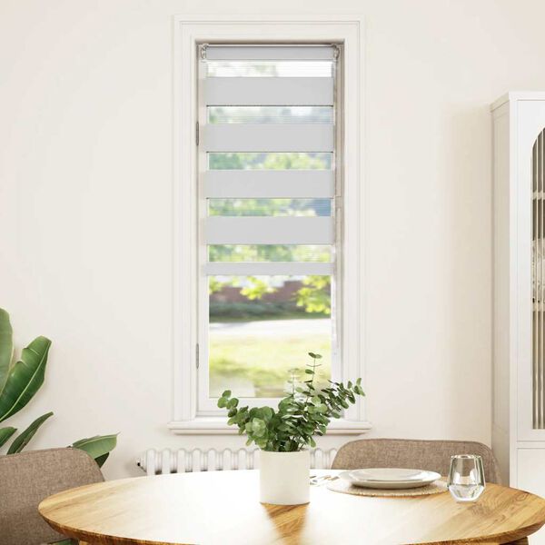 vidaXL žalūzijas zebra 50x100 cm auduma platums 45,9 cm poliesters