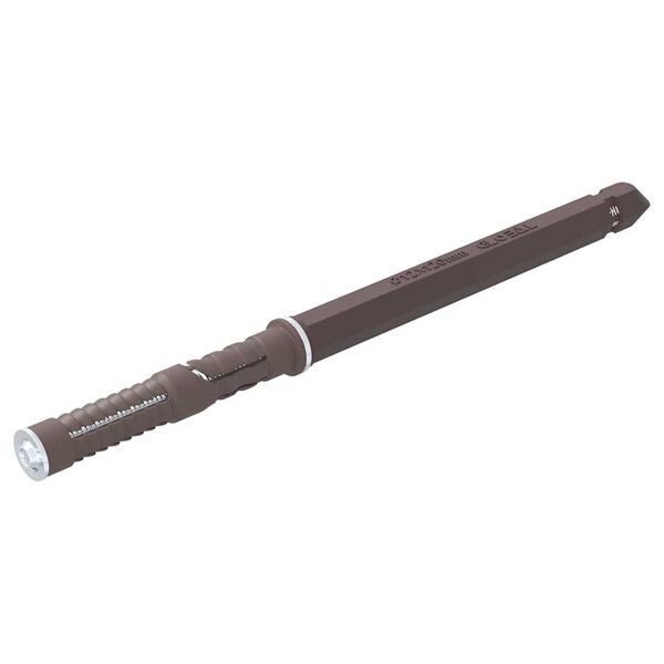 vidaXL Peldējo&scaron;o plauktu kron&scaron;teini 12 pcs Bē&scaron;a &Oslash;12 x 190 mm Tērauds