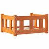 vidaXL Suņu gulta Vaks brūns 55 x 45 x 28 cm Ciets priedes koks