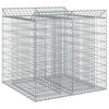 vidaXL Gabions pacelta gulta 2 gab. 100 x 100 x 100 cm Cinkota tērauda
