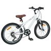 vidaXL Kids Mountain Bike 20 Collas 6-Speed iedots 5-8 gadu vecumam