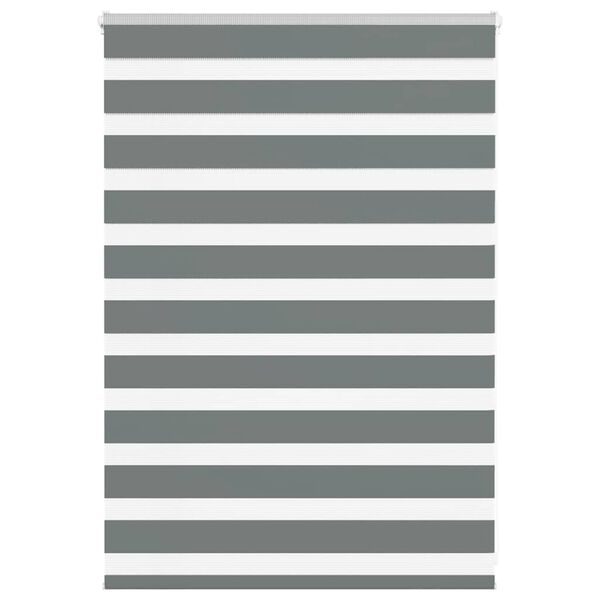 vidaXL žalūzijas zebra 100x100 cm auduma platums 95,9 cm poliesters