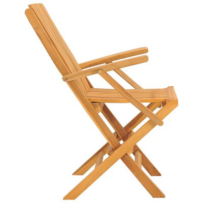 vidaXL saliekami dārza krēsli, 2 gab., 61x67x90 cm, masīvs tīkkoks