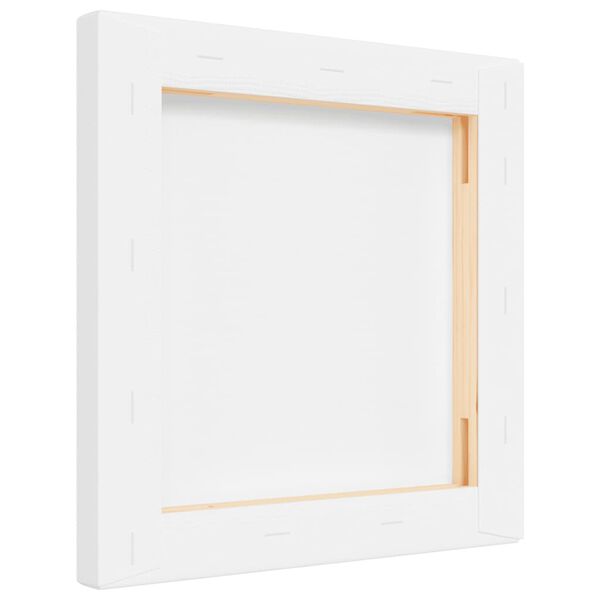 vidaXL audekls glezno&scaron;anai, 12 gab., balts audums un priedes masīvkoks