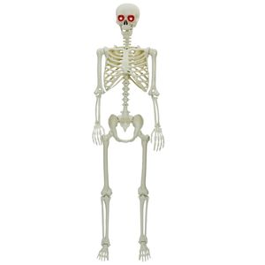 vidaXL Halloween skelets Balts 155 x 38,5 cm Polipropilēns