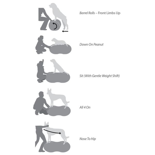 FitPAWS dzīvnieku līdzsvara platforma Trax Peanut, 40 cm, dzeltena