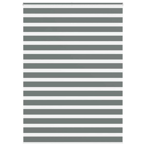 vidaXL žalūzijas zebra 165x200 cm auduma platums 160,9 cm poliesters