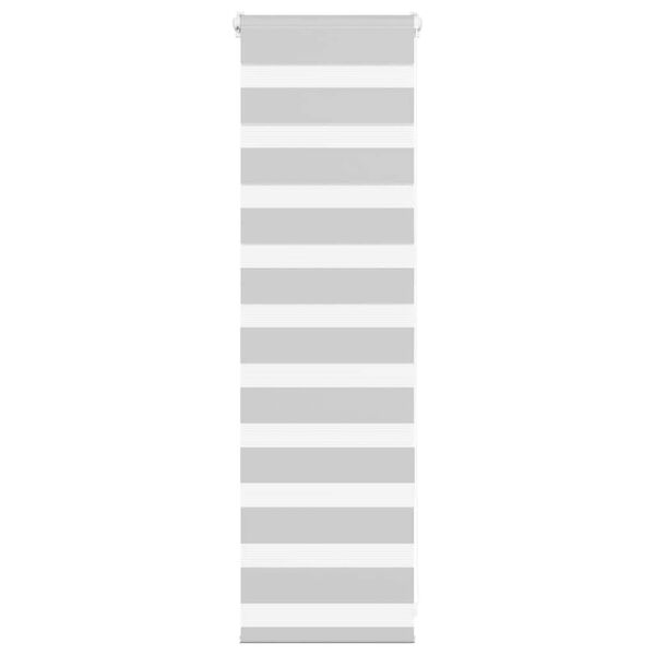 vidaXL žalūzijas zebra 40x100 cm auduma platums 35,9 cm poliesters