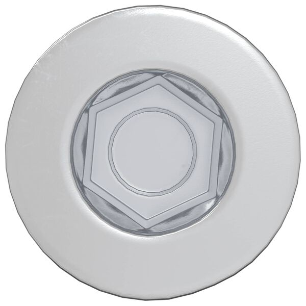 vidaXL Galveni skrūve 2 pcs Sudraba M7 x 40 mm Tērauds