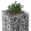 vidaXL Gabions pacelta gulta Sudraba 50 x 50 x 150 cm Cinkots tērauds