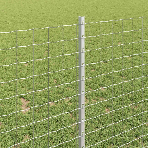 vidaXL Žoga āķis 11 pcs Sudraba 100 cm Tērauds