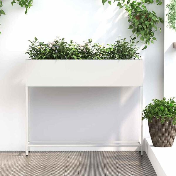 Showing Product Image 2 of 12
