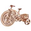425873 Wood Trick Wooden Scale Model Kit Bicycle