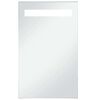 vidaXL vannasistabas spogulis ar LED, 60x100 cm