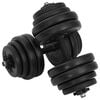 vidaXL hanteles, 2x15 kg