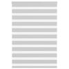 vidaXL žalūzijas zebra 100x150 cm auduma platums 95,9 cm poliesters