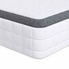vidaXL Matracis 2 gab. Vidēji mīksts 70 x 190 cm Balts un pelēks