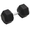 vidaXL hantele, 30 kg, čuguns