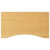 vidaXL rakstāmgalda virsma, 100x60x2,5 cm, bambuss