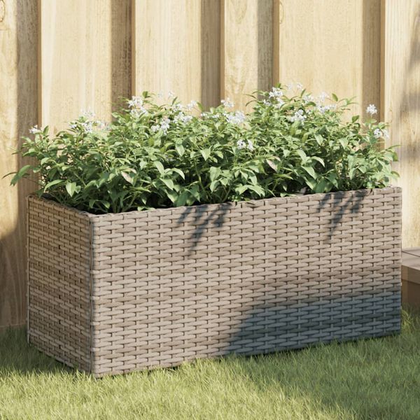 Showing Product Image 2 of 12