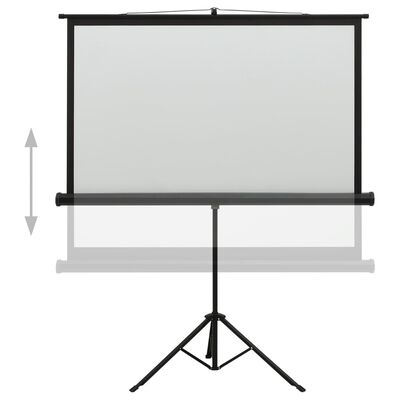 vidaXL projekcijas ekrāns ar statīvu, 57", 16:9