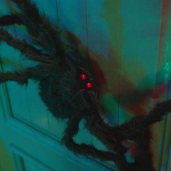 vidaXL Helovīna zirneklis dekorācija 6 pcs Melna 75 cm