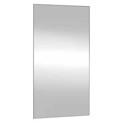 vidaXL sienas spogulis, 50x100 cm, stikls, taisnstūra