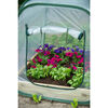 Nature ātri uzstādāma siltumnīca, 100 x 100 x 100 cm, 6020408