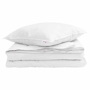 vidaXL 2-in-1 Segu ar spilvenu 2 pcs Balts Dūnu spalva
