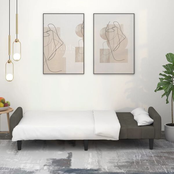 vidaXL 2-vietīga dīvāngulta, tum&scaron;i pelēks samts