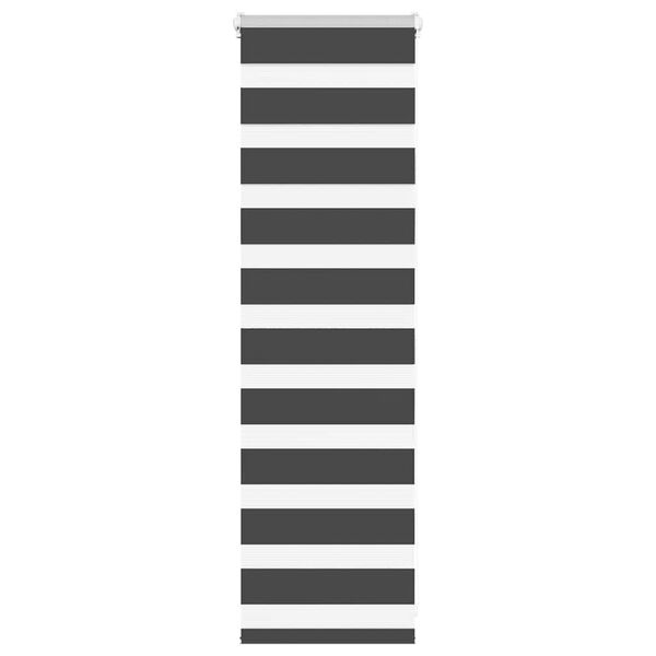 vidaXL žalūzijas zebra 55x100 cm auduma platums 50,9 cm poliesters